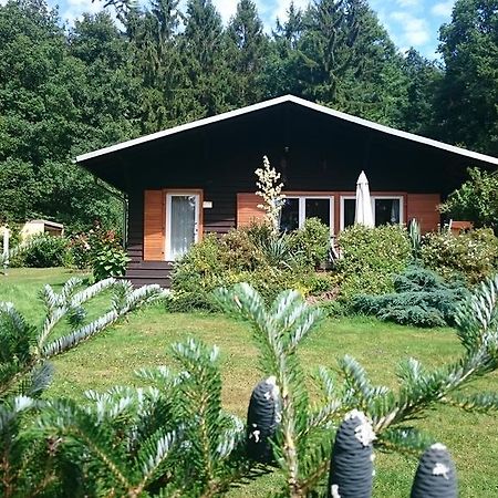Chalet Harmonie Harzgerode Εξωτερικό φωτογραφία