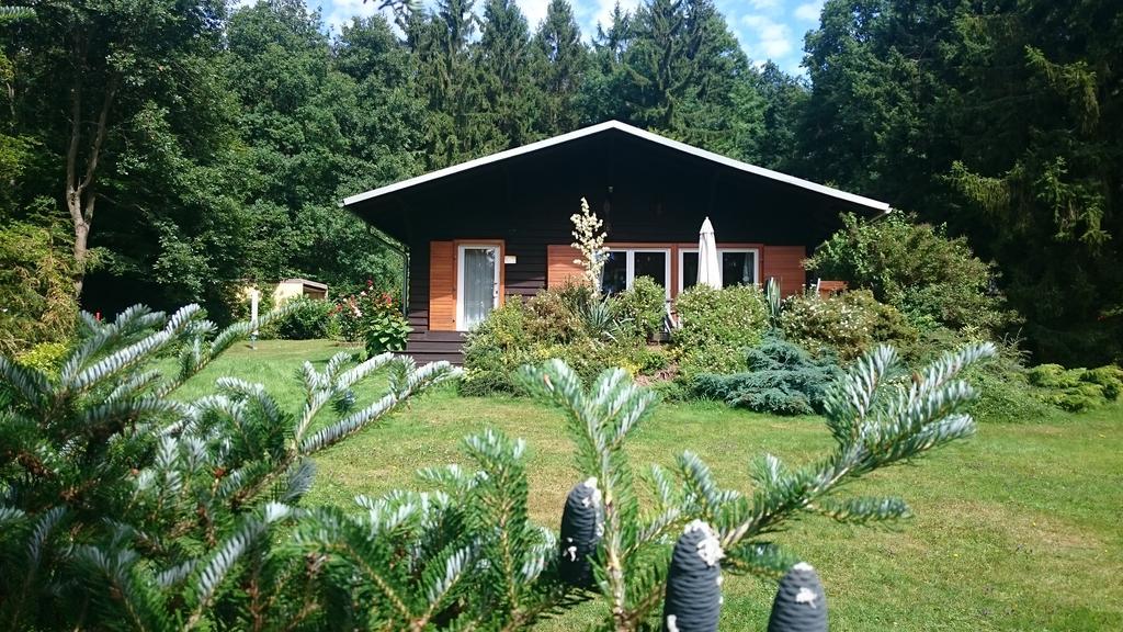 Chalet Harmonie Harzgerode Εξωτερικό φωτογραφία
