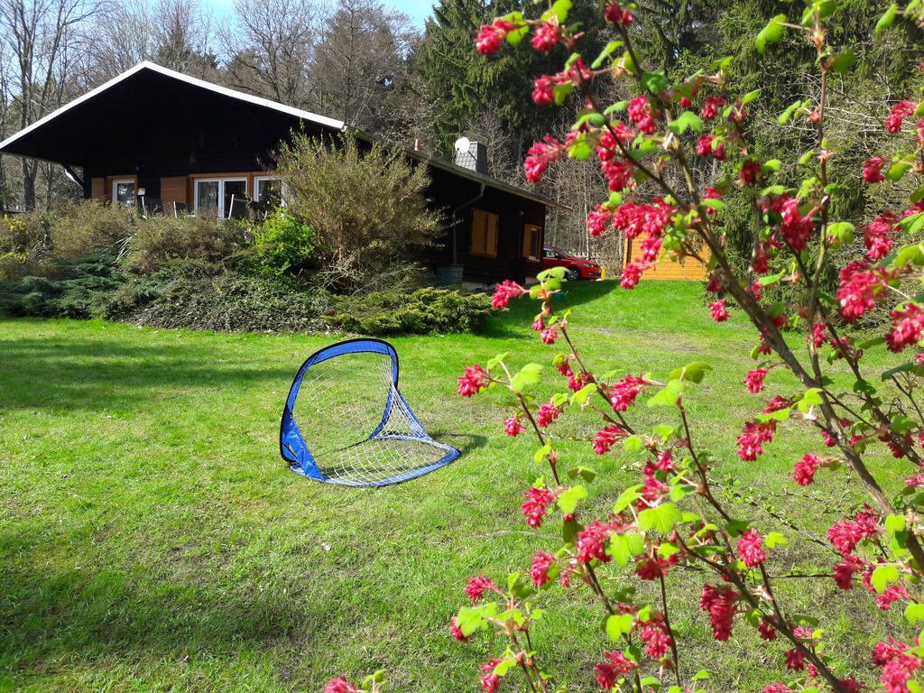 Chalet Harmonie Harzgerode Εξωτερικό φωτογραφία