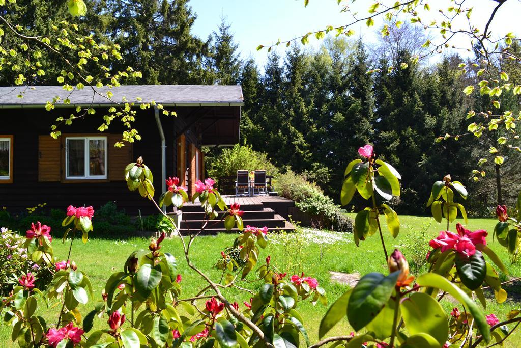 Chalet Harmonie Harzgerode Εξωτερικό φωτογραφία