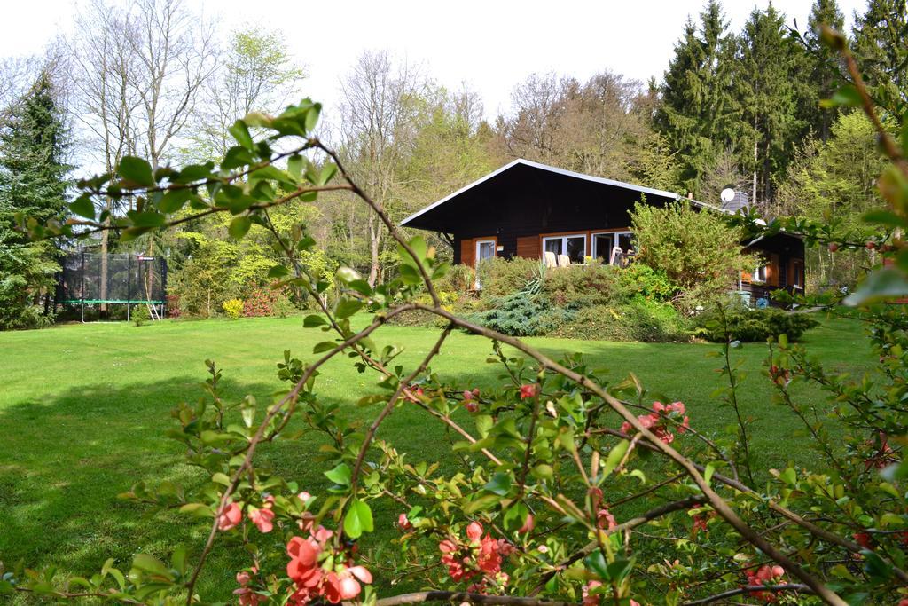 Chalet Harmonie Harzgerode Εξωτερικό φωτογραφία