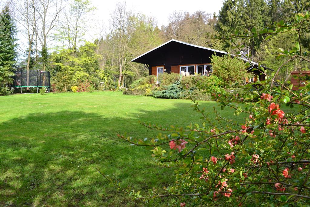 Chalet Harmonie Harzgerode Εξωτερικό φωτογραφία
